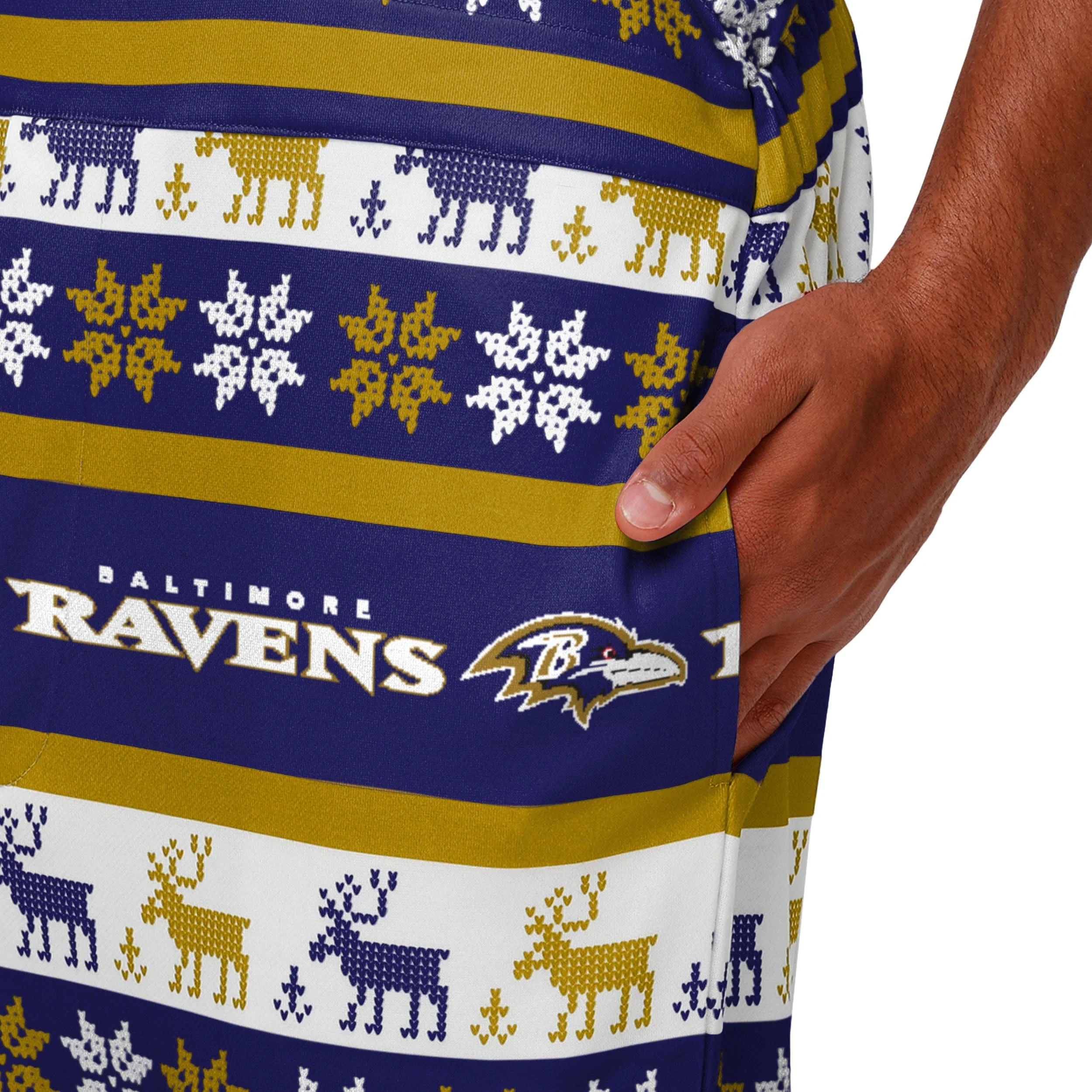 Baltimore Ravens NFL Mens Ugly Home Gating Bib Overalls - Image 5