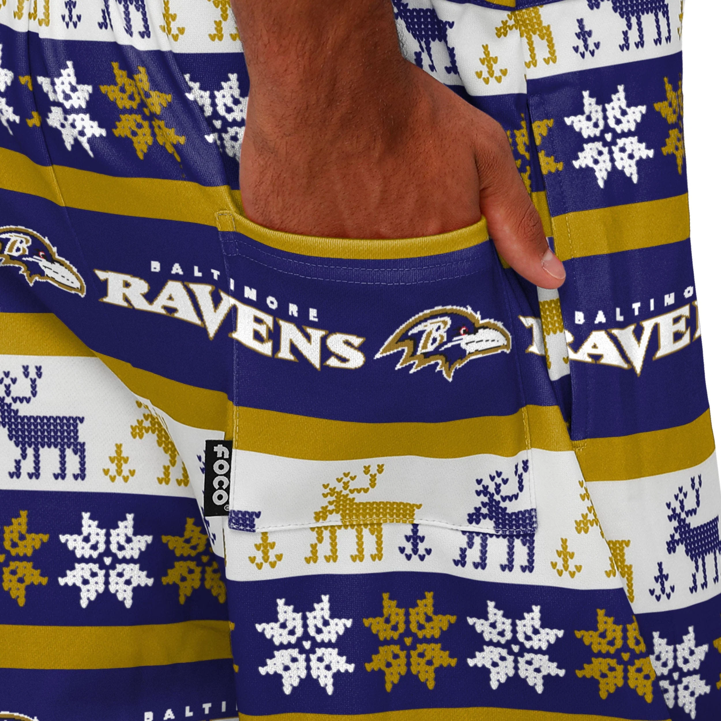 Baltimore Ravens NFL Mens Ugly Home Gating Bib Overalls - Image 6