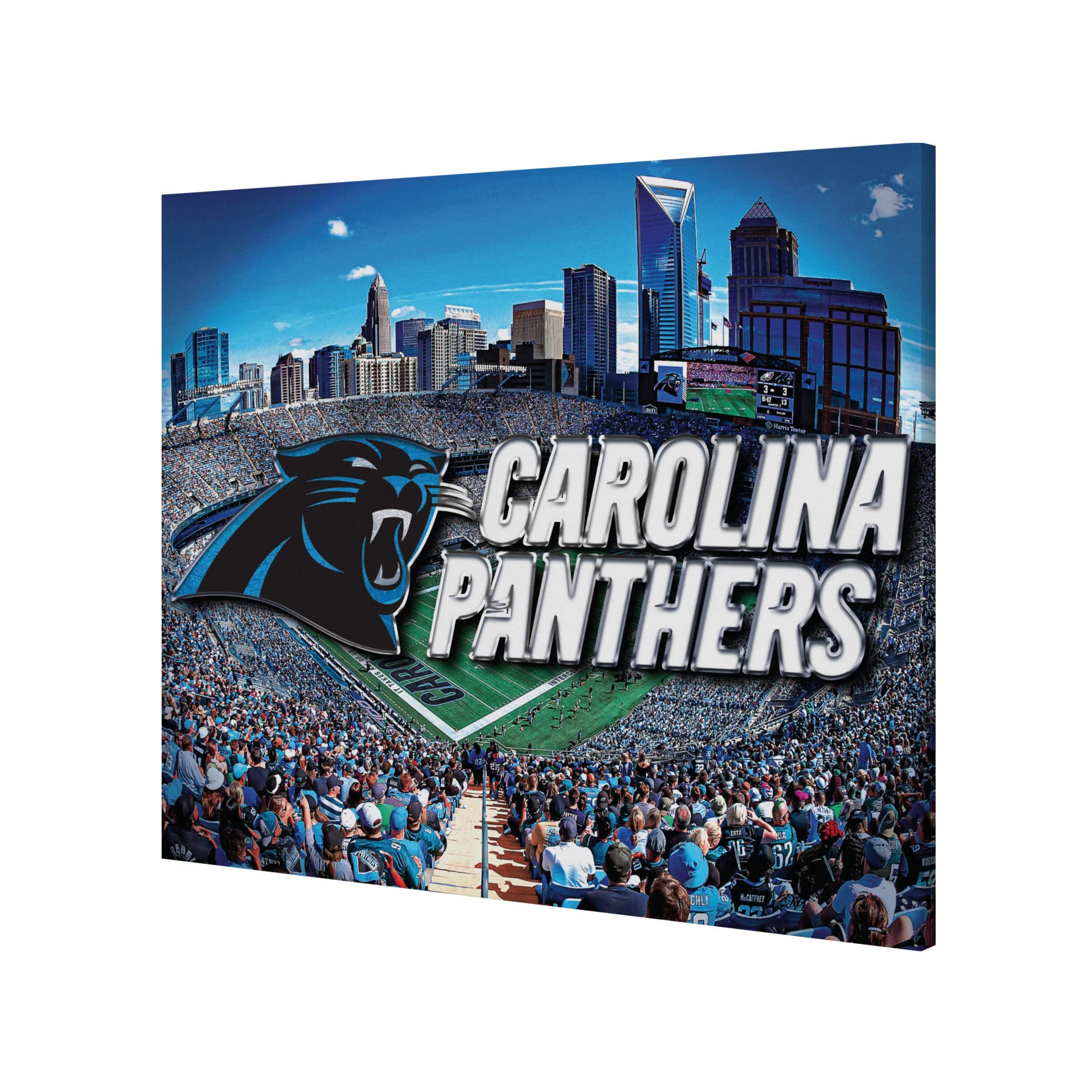 Carolina Panthers NFL Canvas Wall Sign - Image 2