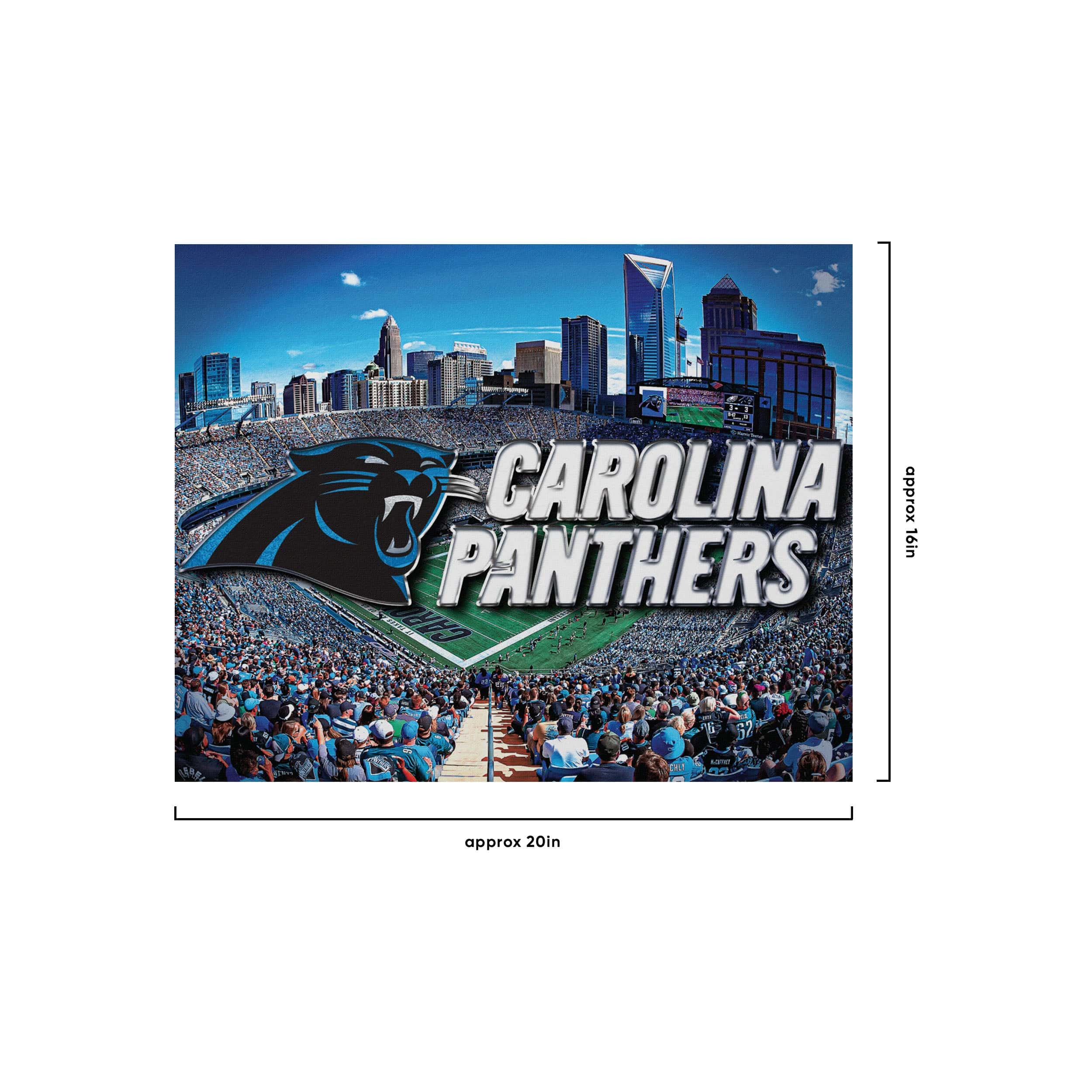 Carolina Panthers NFL Canvas Wall Sign - Image 4