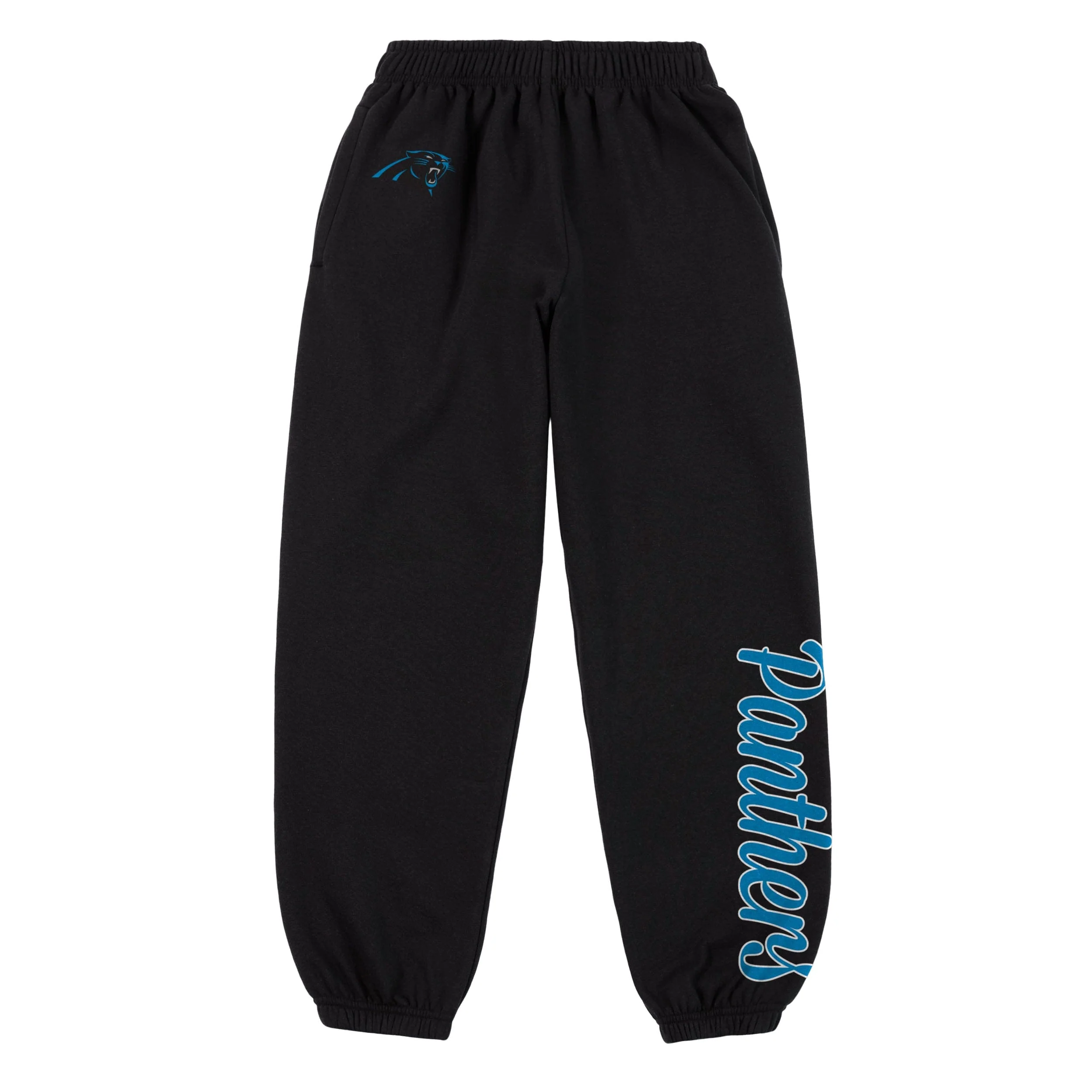 Carolina Panthers NFL Womens Script Wordmark Team Color Sweatpants - Image 5