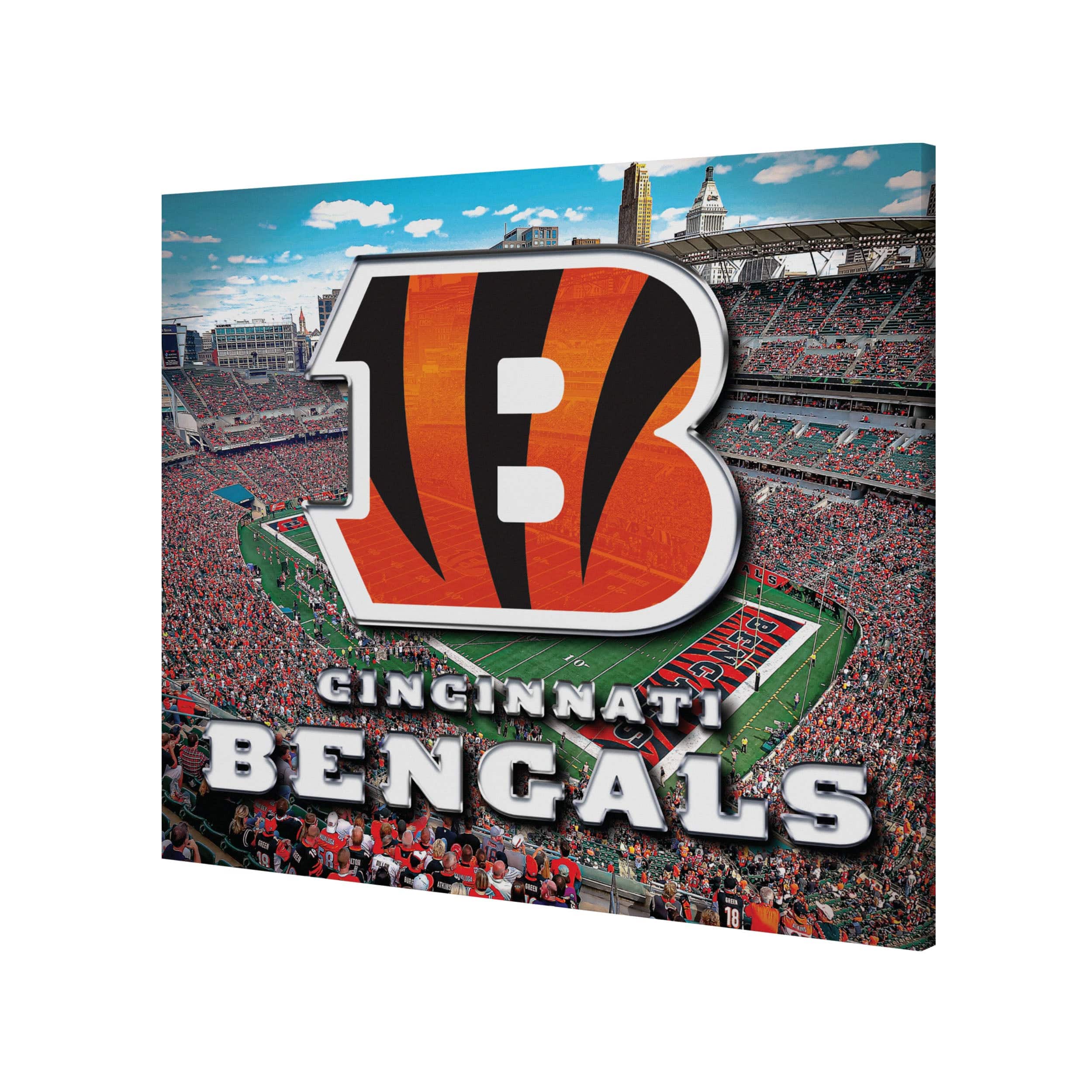 Cincinnati Bengals NFL Canvas Wall Sign - Image 2