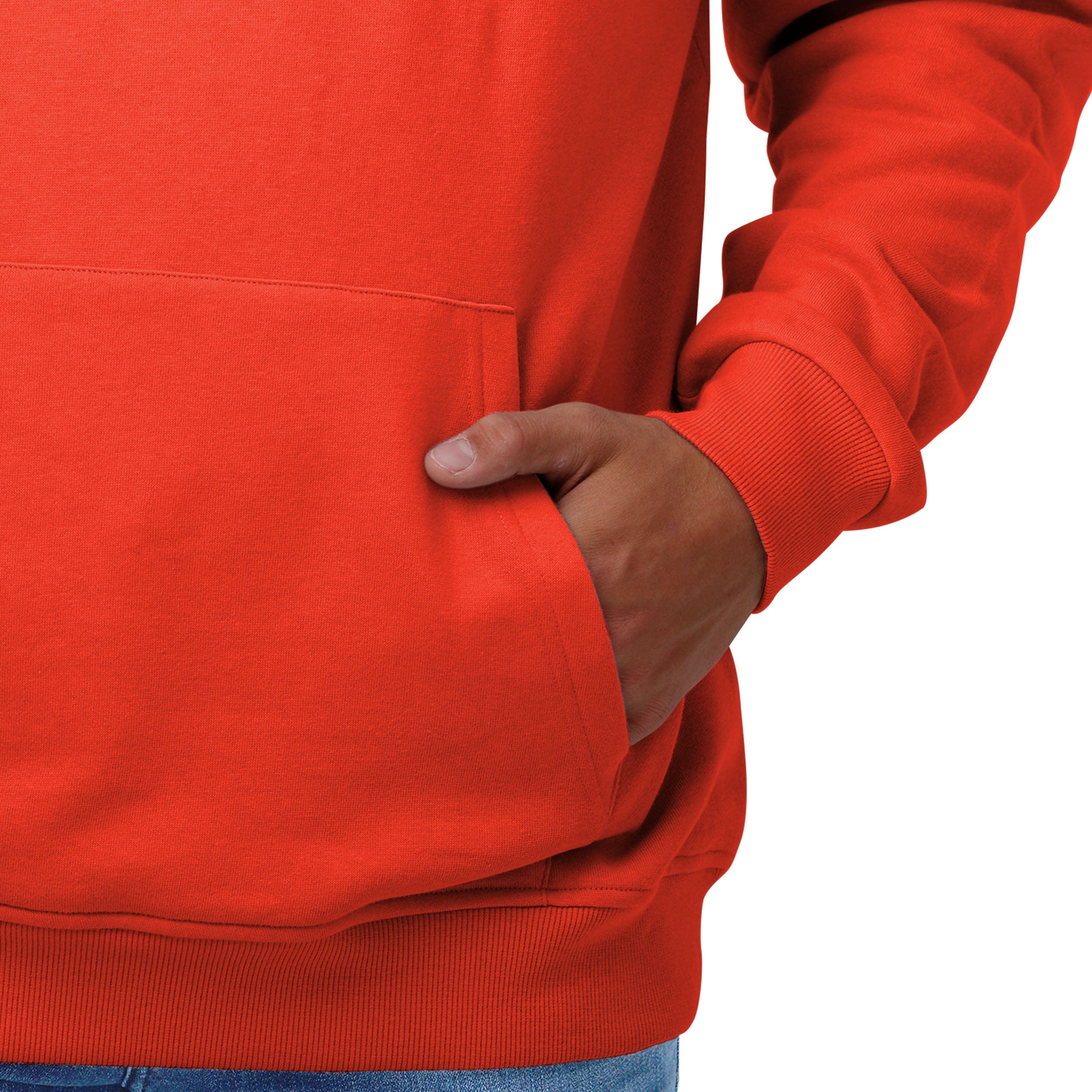 Cleveland Browns NFL Mens Solid Hoodie - Image 3