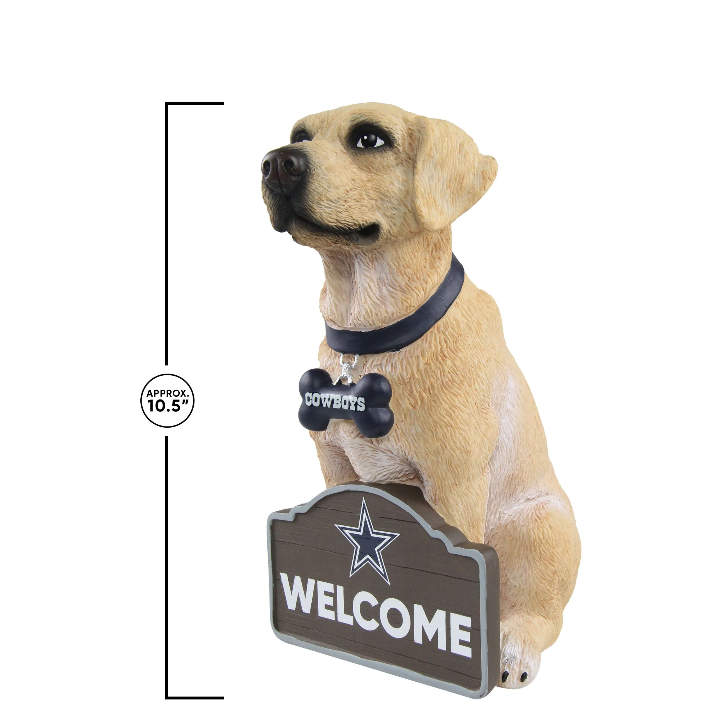 Dallas Cowboys NFL Yellow Labrador Statue - Image 2