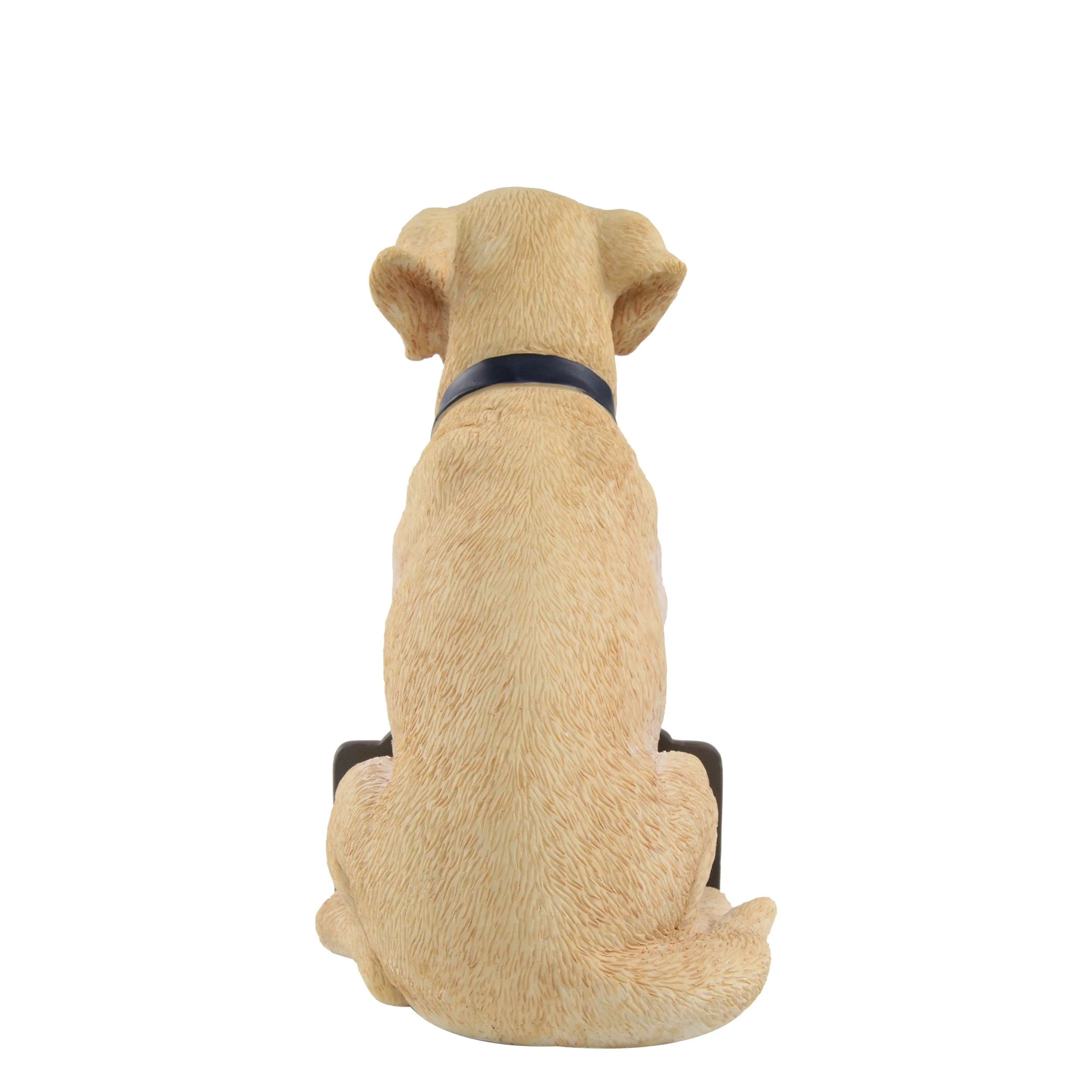 Dallas Cowboys NFL Yellow Labrador Statue - Image 3