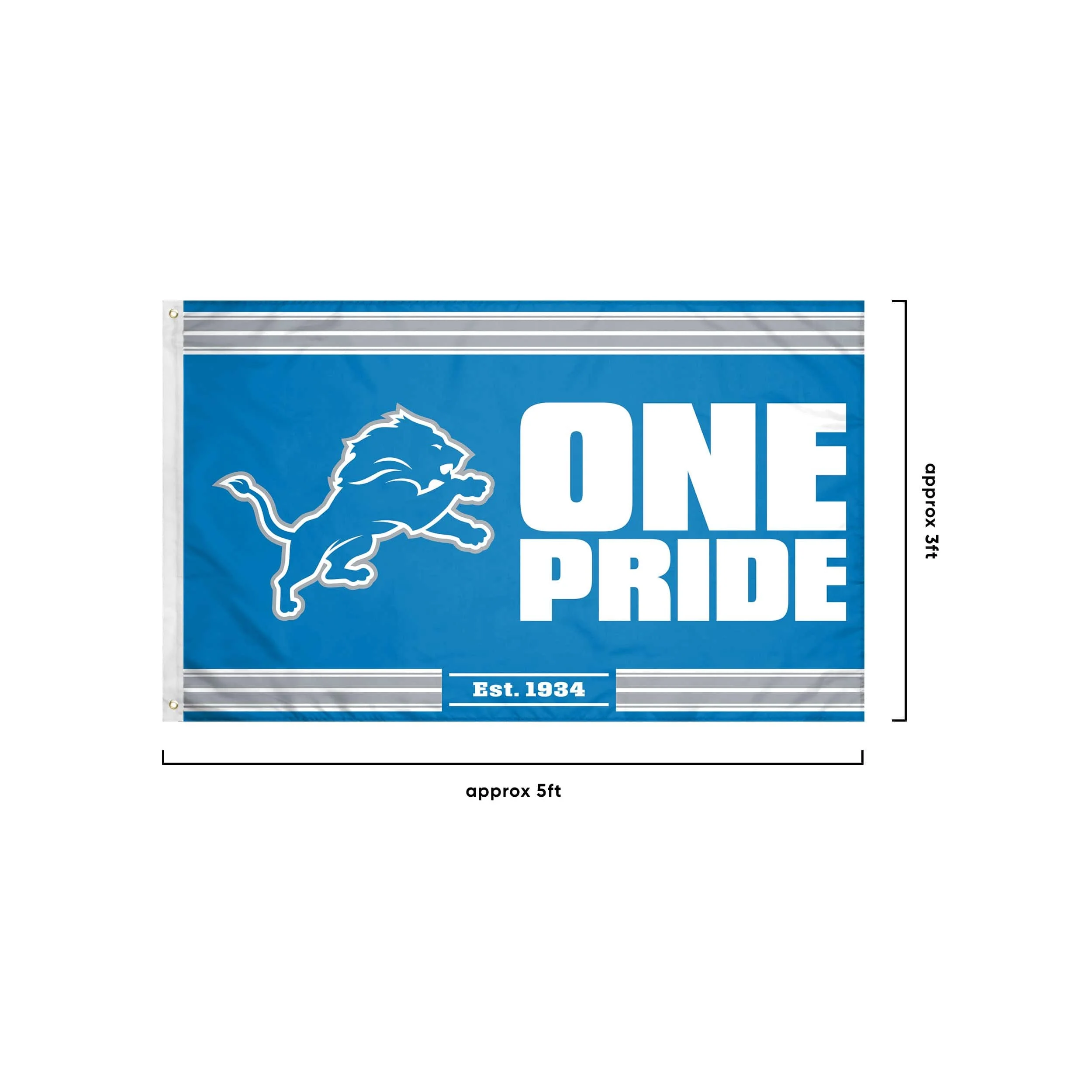 Detroit Lions NFL Horizontal Slogan Flag - Image 3