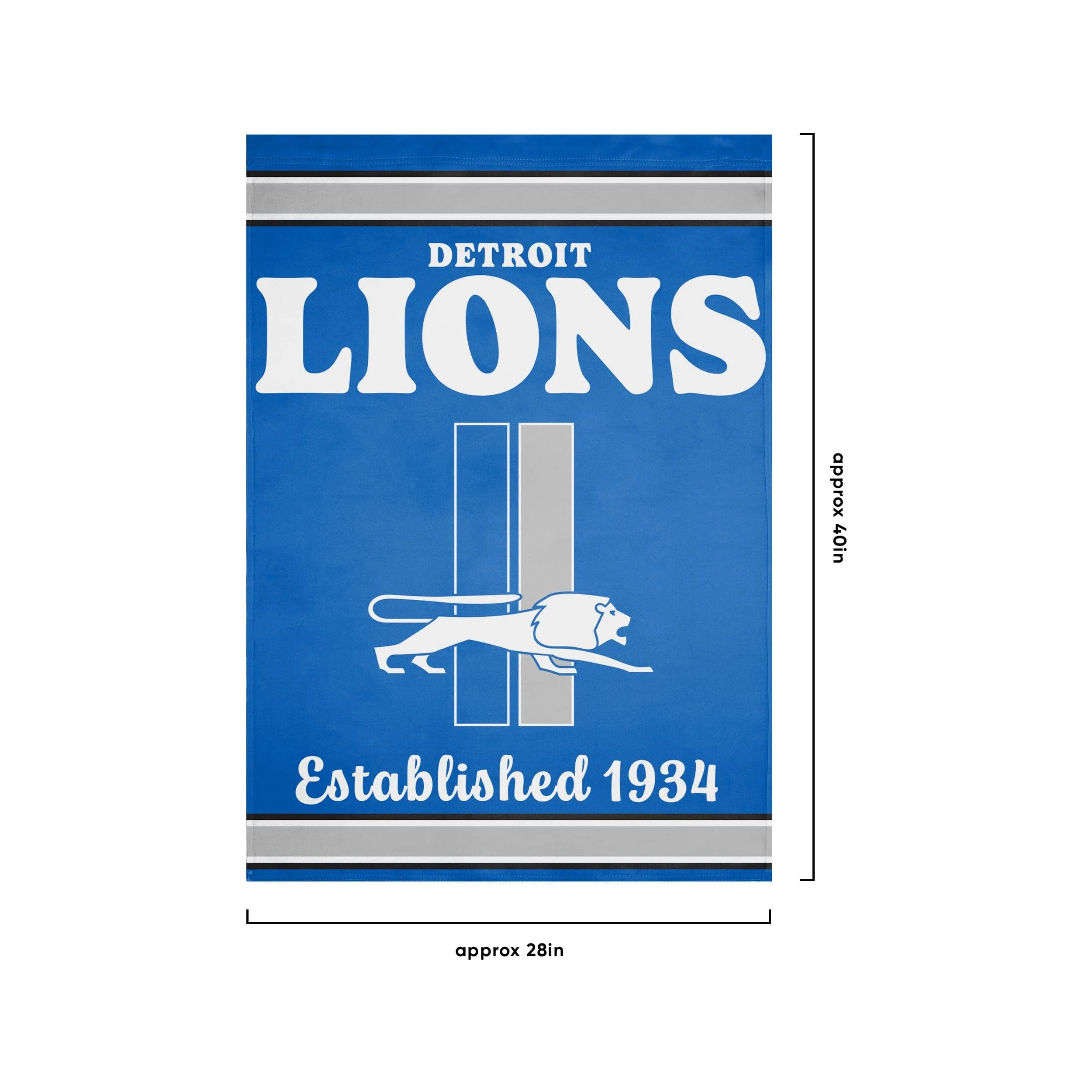 Detroit Lions NFL Vertical Retro Flag - Image 3