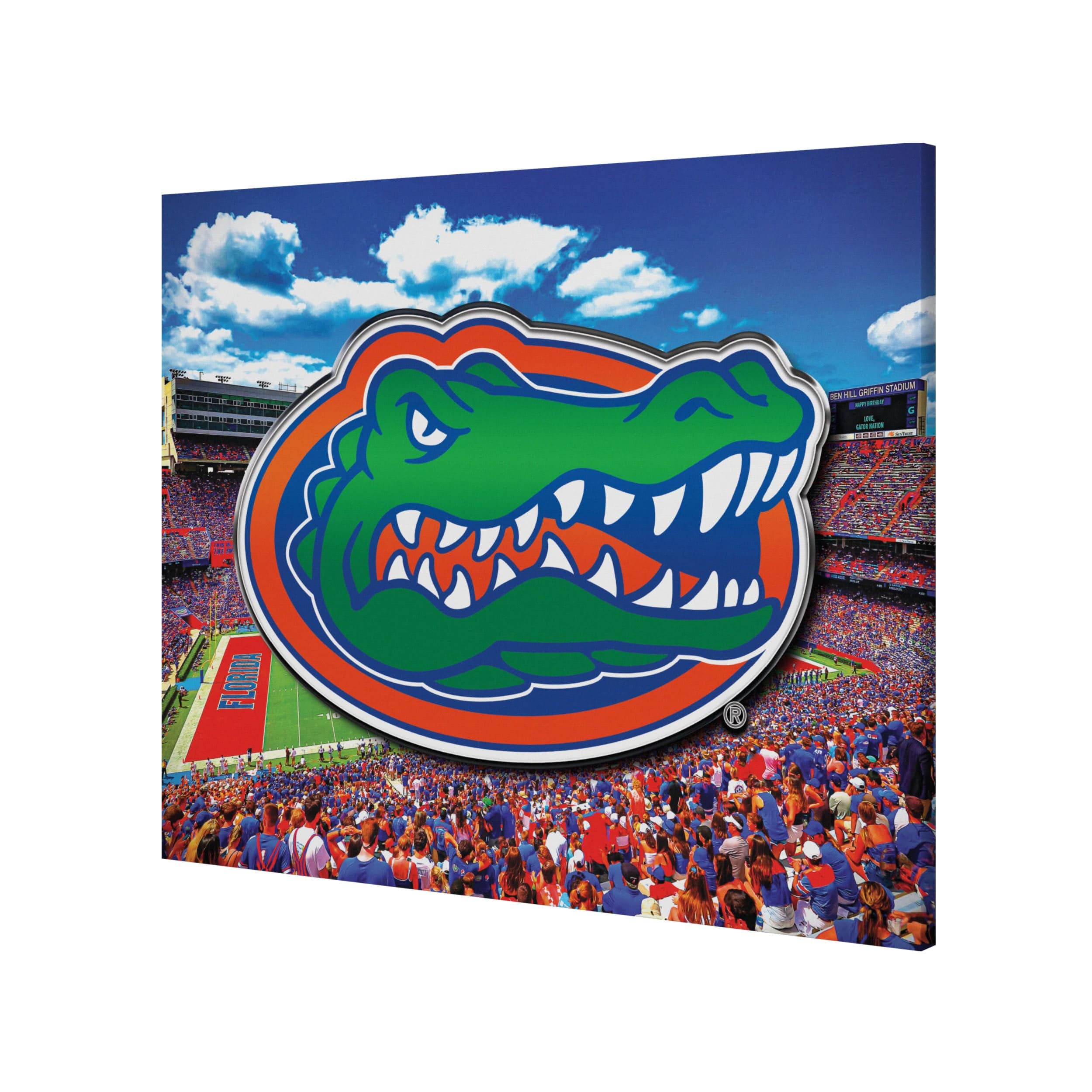 Florida Gators NCAA Canvas Wall Sign - Image 2