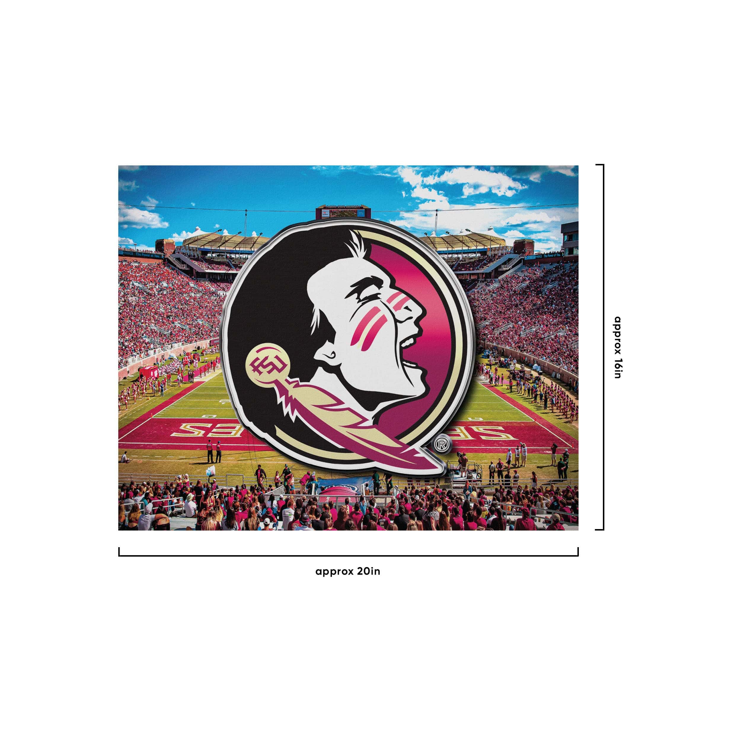 Florida State Seminoles NCAA Canvas Wall Sign - Image 4