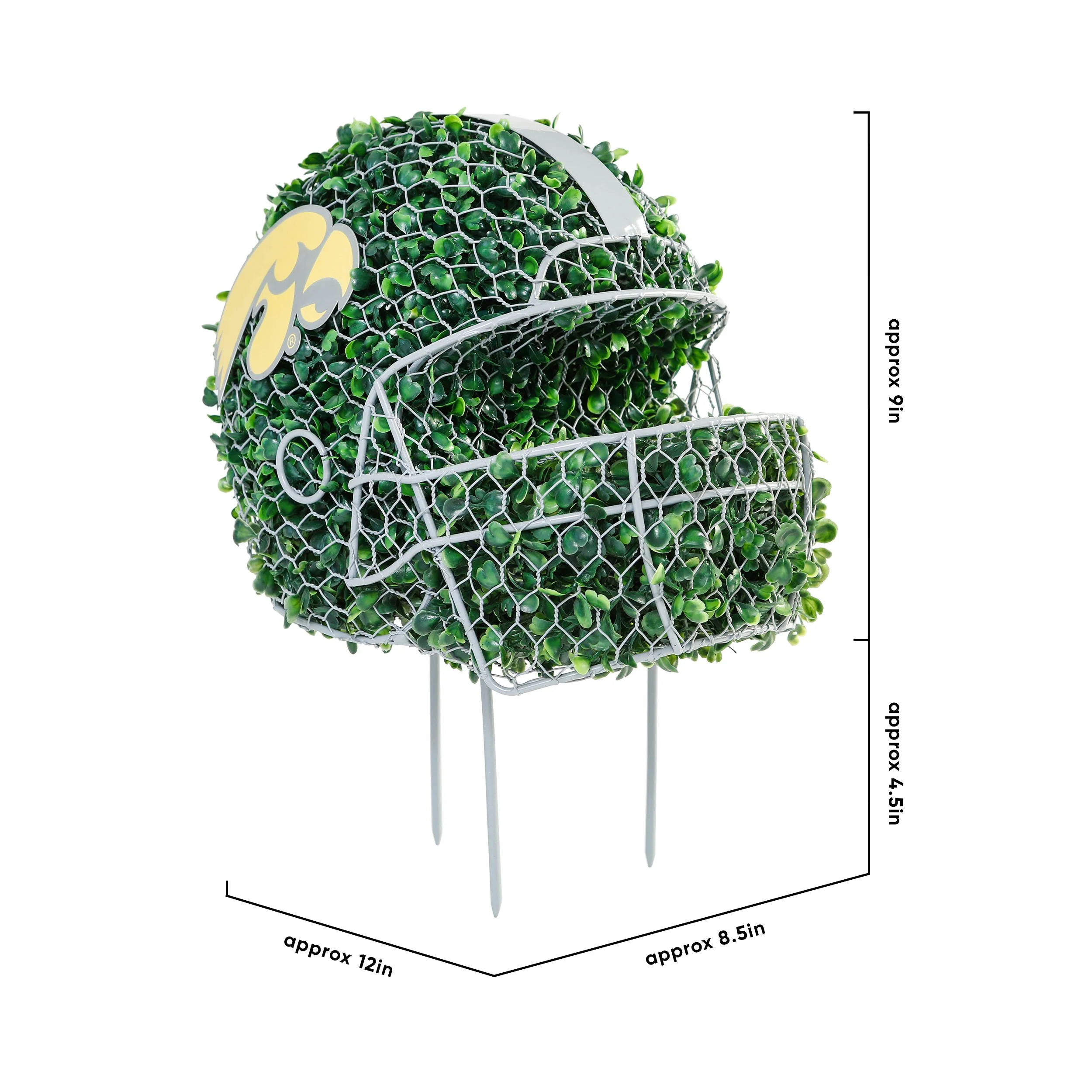 Iowa Hawkeyes NCAA Topiary Figure - Image 3