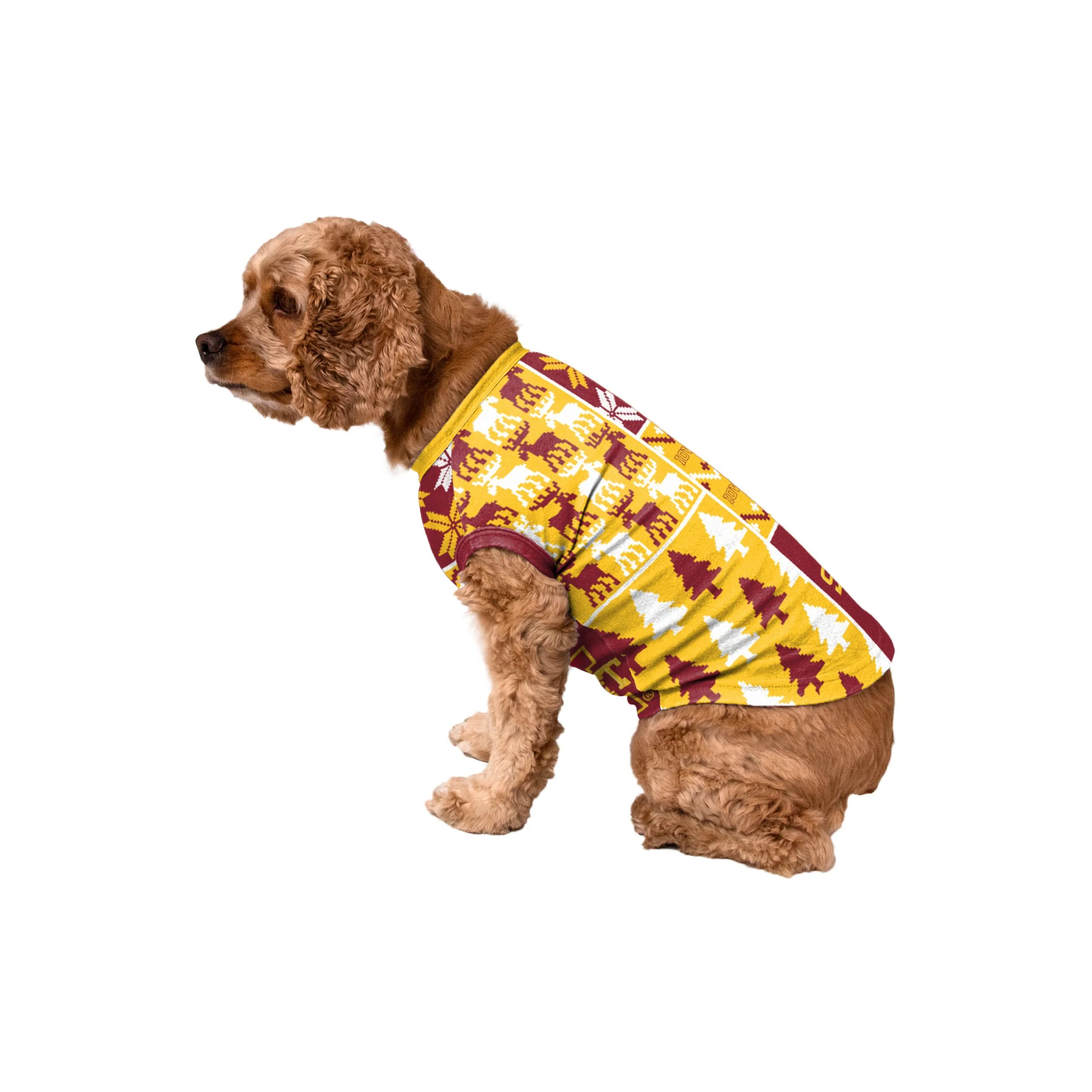 Iowa State Cyclones NCAA Busy Block Dog Sweater