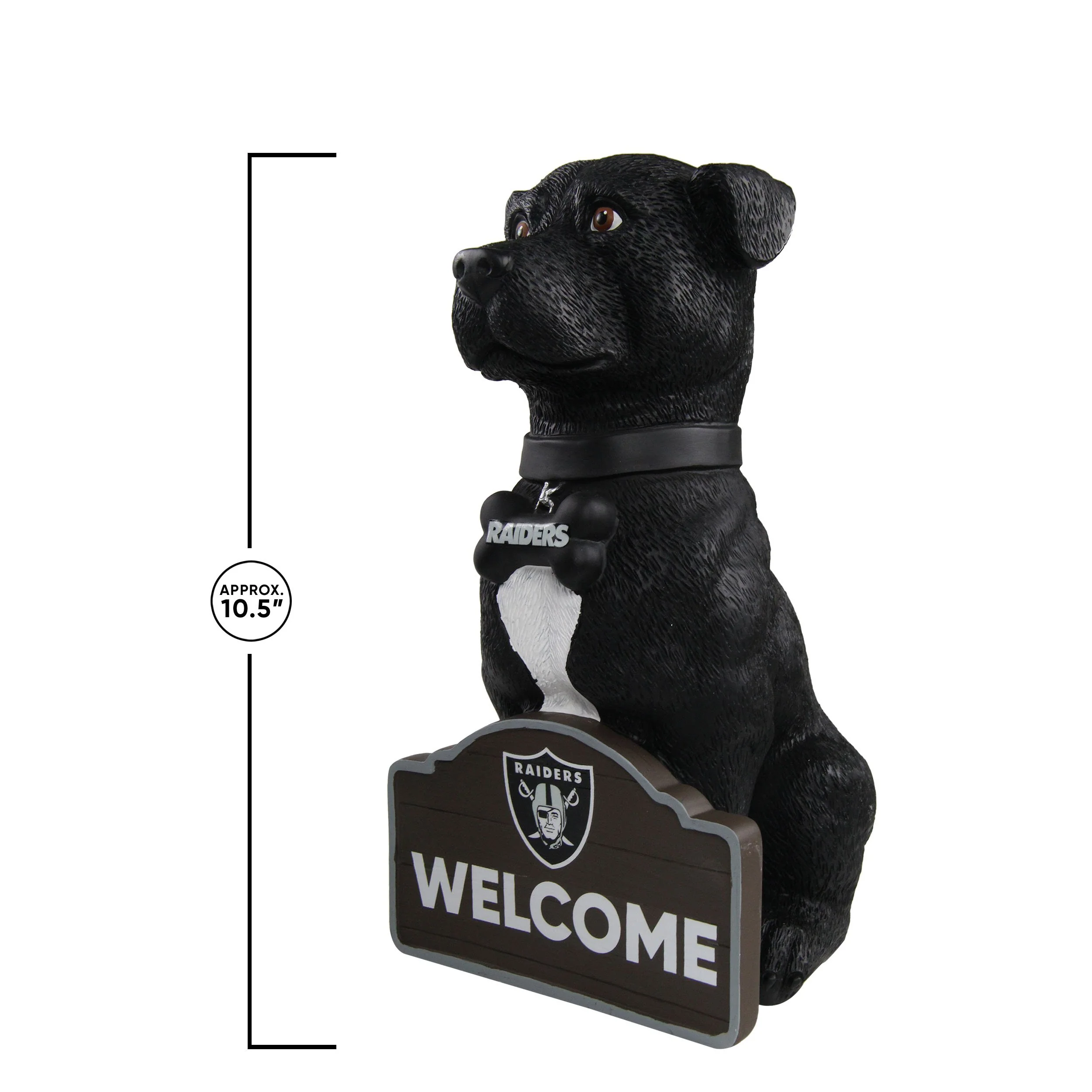 Las Vegas Raiders NFL American Staffordshire Terrier Statue - Image 3