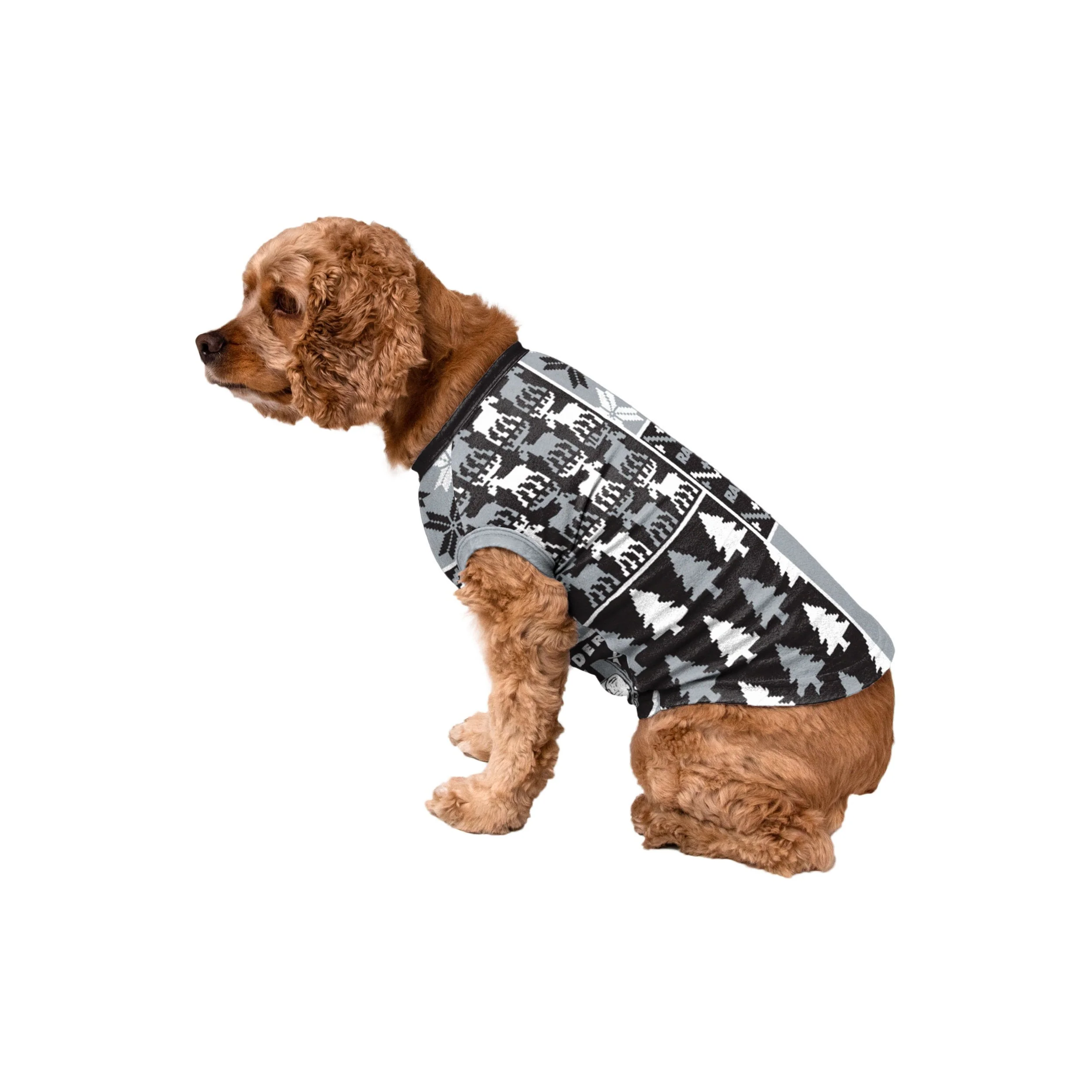 Las Vegas Raiders NFL Busy Block Family Holiday Pajamas - Image 7