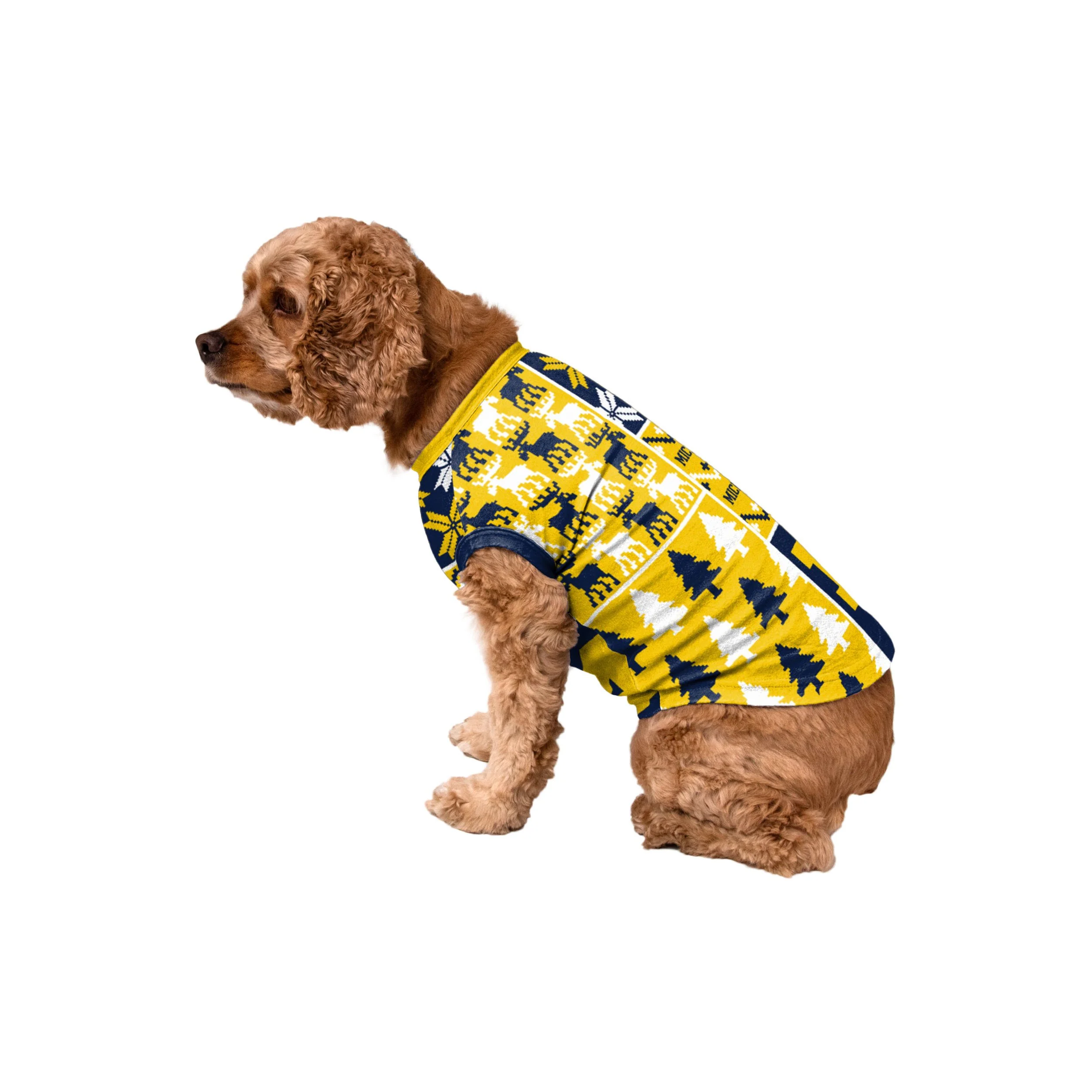 Michigan Wolverines NCAA Busy Block Dog Sweater