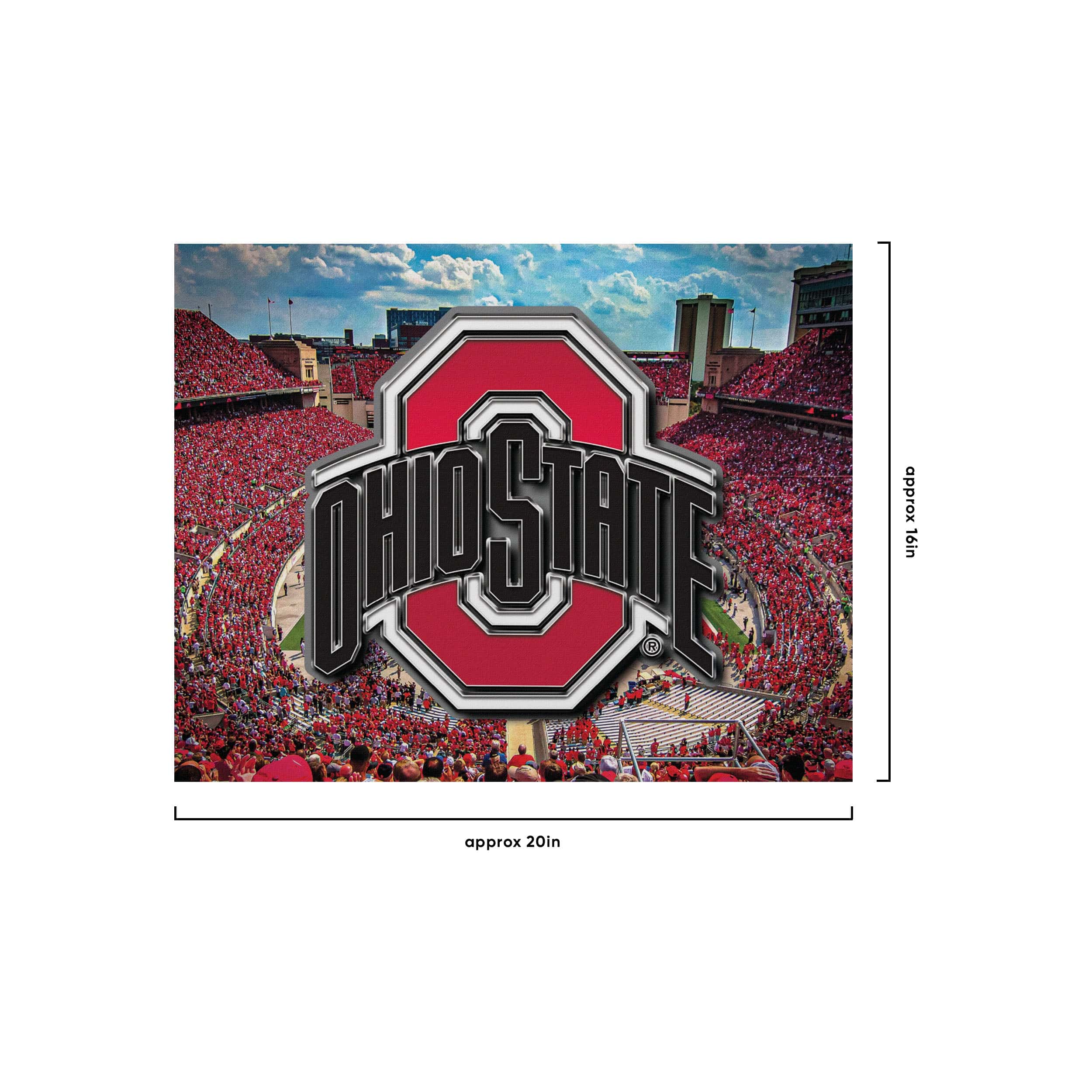 Ohio State Buckeyes NCAA Canvas Wall Sign - Image 4