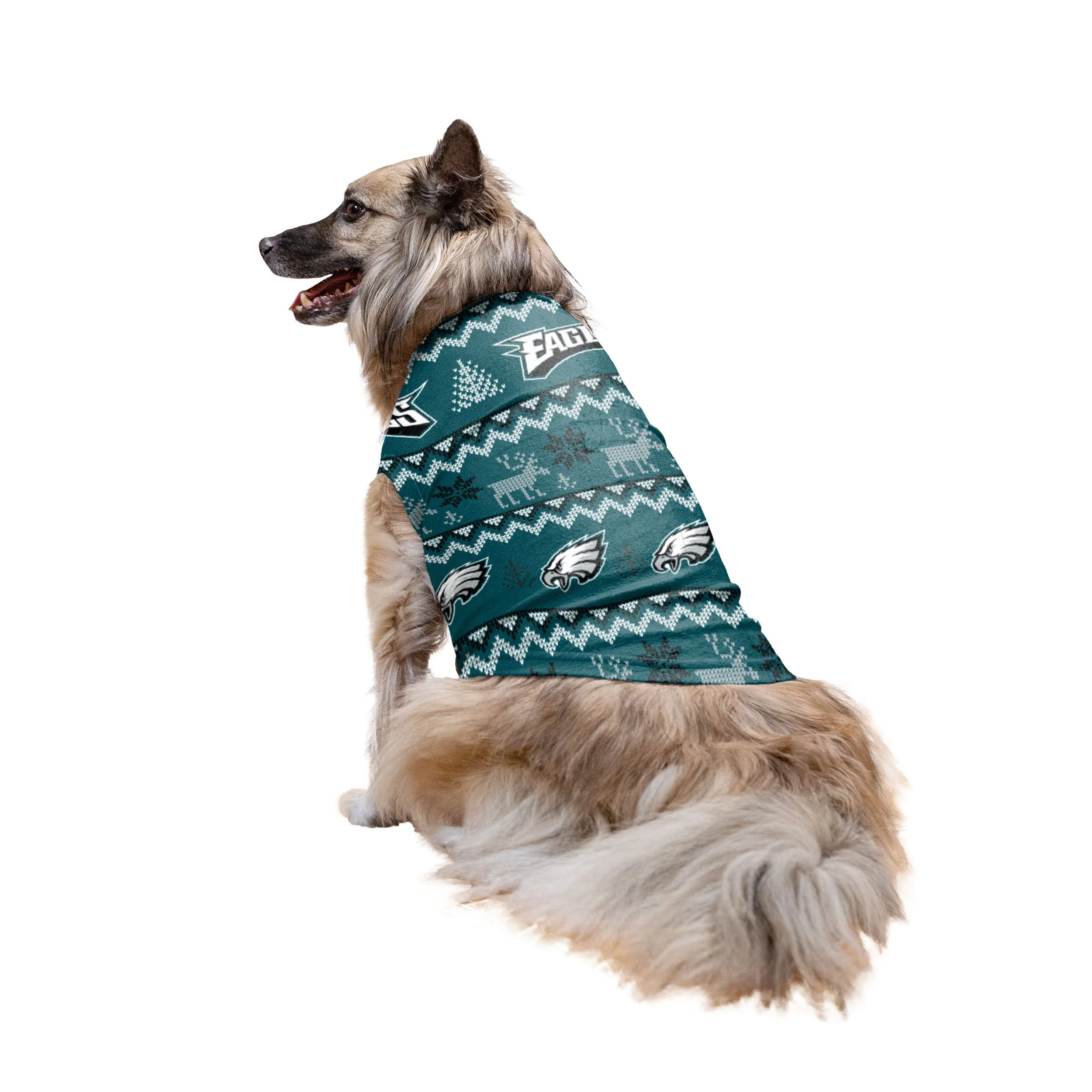 Philadelphia Eagles NFL Ugly Pattern Family Holiday Pajamas - Image 7