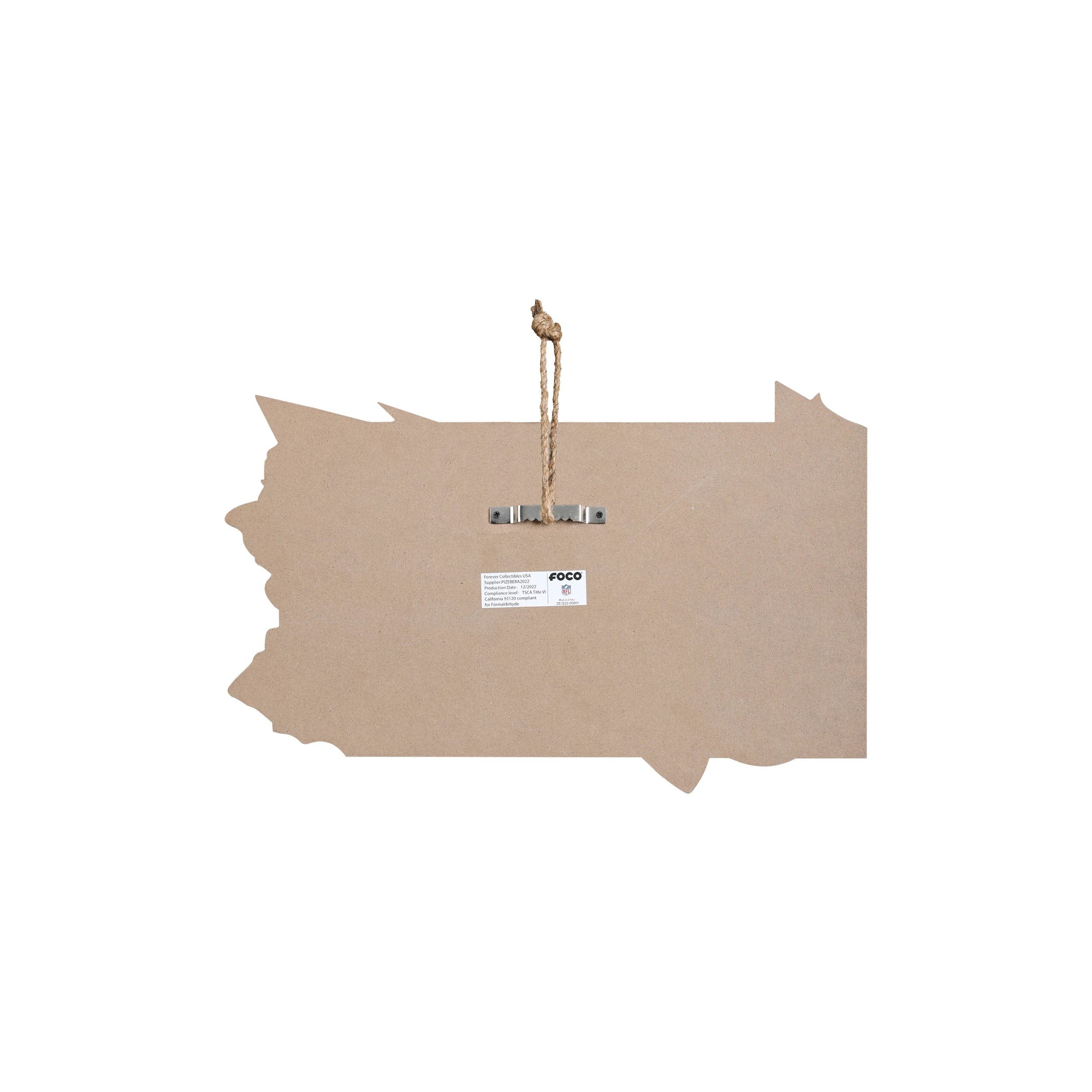 Philadelphia Eagles NFL Wood State Sign - Image 6